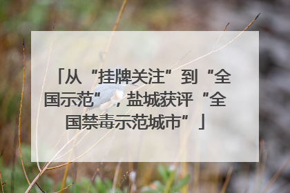 从“挂牌关注”到“全国示范”，盐城获评“全国禁毒示范城市”