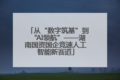 从“数字筑基”到“AI领航”——湖南国资国企竞速人工智能新赛道