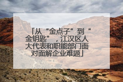 从“金点子”到“金钥匙”，江汉区人大代表和职能部门面对面解企业难题