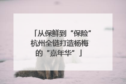 从保鲜到“保险” 杭州全链打造杨梅的“嘉年华”