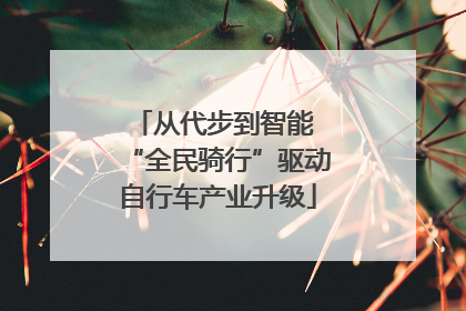 从代步到智能 “全民骑行”驱动自行车产业升级