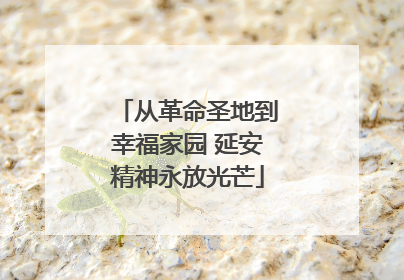 从革命圣地到幸福家园 延安精神永放光芒