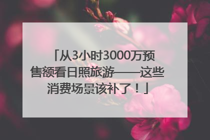 从3小时3000万预售额看日照旅游——这些消费场景该补了！