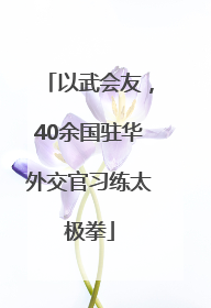 以武会友，40余国驻华外交官习练太极拳