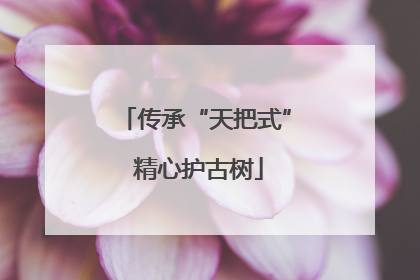 传承“天把式” 精心护古树