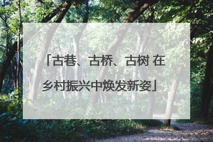 古巷、古桥、古树 在乡村振兴中焕发新姿