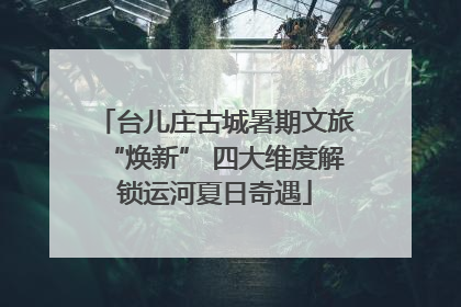 台儿庄古城暑期文旅“焕新” 四大维度解锁运河夏日奇遇
