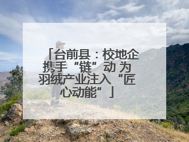 台前县：校地企携手“链”动 为羽绒产业注入“匠心动能”