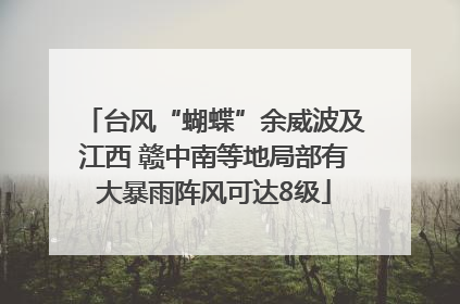 台风“蝴蝶”余威波及江西 赣中南等地局部有大暴雨阵风可达8级