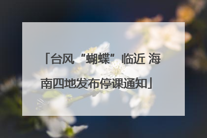 台风“蝴蝶”临近 海南四地发布停课通知
