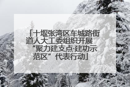 十堰张湾区车城路街道人大工委组织开展 “聚力建支点·建功示范区”代表行动