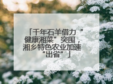 千年石羊借力“健康湘菜”突围，湘乡特色农业加速“出省”