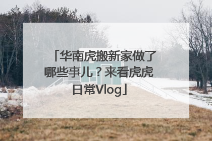 华南虎搬新家做了哪些事儿？来看虎虎日常Vlog
