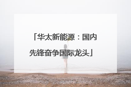 华太新能源：国内先锋奋争国际龙头