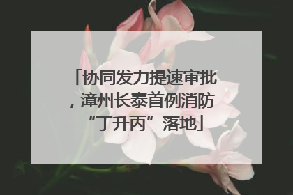 协同发力提速审批，漳州长泰首例消防“丁升丙”落地