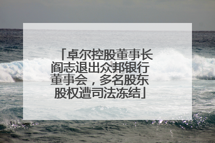 卓尔控股董事长阎志退出众邦银行董事会，多名股东股权遭司法冻结