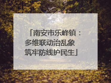 南安市乐峰镇：多维联动治乱象 筑牢防线护民生