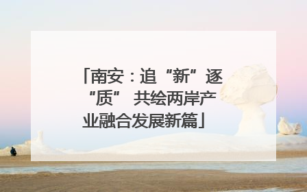 南安：追“新”逐“质” 共绘两岸产业融合发展新篇