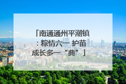 南通通州平潮镇：粽情六一 护苗成长多一“典”