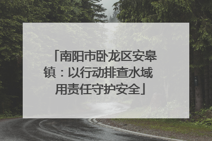南阳市卧龙区安皋镇：以行动排查水域 用责任守护安全