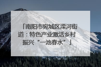 南阳市宛城区溧河街道：特色产业激活乡村振兴“一池春水”