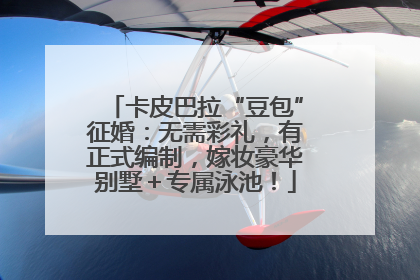 卡皮巴拉“豆包”征婚：无需彩礼，有正式编制，嫁妆豪华别墅＋专属泳池！