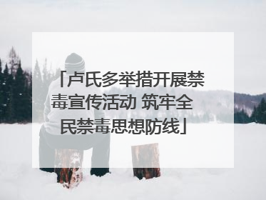 卢氏多举措开展禁毒宣传活动 筑牢全民禁毒思想防线