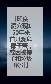 印度一洞穴现150年来首只濒危椰子蟹，或因被椰子和垃圾吸引