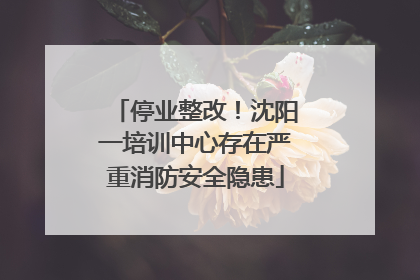 停业整改！沈阳一培训中心存在严重消防安全隐患