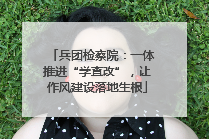 兵团检察院：一体推进“学查改”，让作风建设落地生根