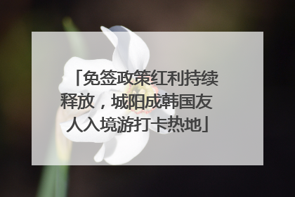 免签政策红利持续释放，城阳成韩国友人入境游打卡热地