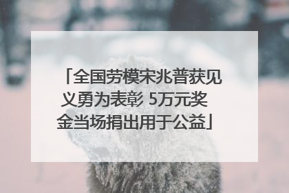 全国劳模宋兆普获见义勇为表彰 5万元奖金当场捐出用于公益