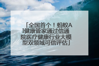 全国首个！蚂蚁AI健康管家通过信通院医疗健康行业大模型双领域可信评估