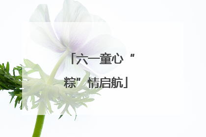 六一童心“粽”情启航