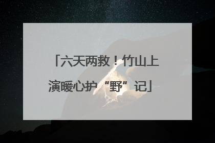 六天两救！竹山上演暖心护“野”记