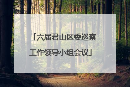 六届君山区委巡察工作领导小组会议