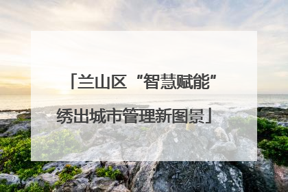 兰山区“智慧赋能”绣出城市管理新图景