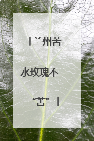 兰州苦水玫瑰不“苦”