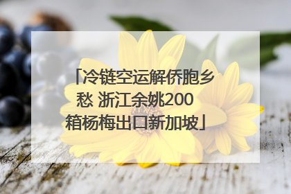 冷链空运解侨胞乡愁 浙江余姚200箱杨梅出口新加坡
