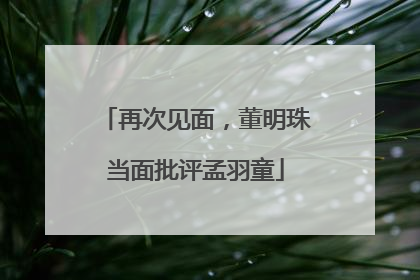 再次见面，董明珠当面批评孟羽童