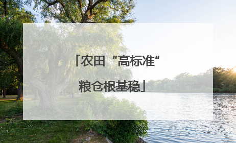 农田“高标准” 粮仓根基稳
