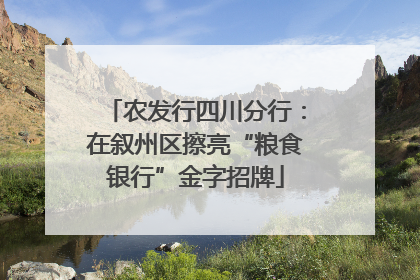 农发行四川分行：在叙州区擦亮“粮食银行”金字招牌
