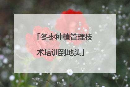 冬枣种植管理技术培训到地头