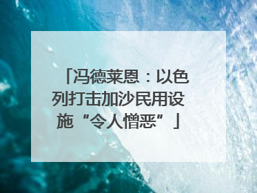 冯德莱恩：以色列打击加沙民用设施“令人憎恶”