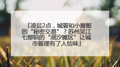 凌晨2点，城管和小摊贩的“秘密交易”？苏州吴江七都镇的“潮汐摊区”让城市管理有了人情味