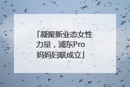 凝聚新业态女性力量，浦东Pro妈妈妇联成立