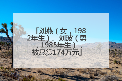 刘燕（女，1982年生）、刘波（男，1985年生），被悬赏174万元