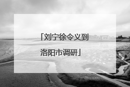 刘宁徐令义到洛阳市调研