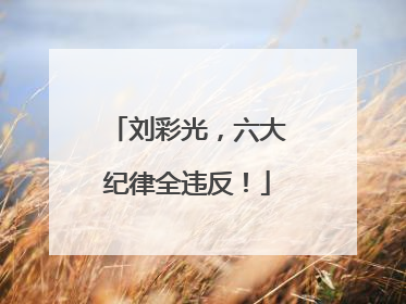 刘彩光，六大纪律全违反！