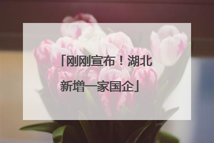 刚刚宣布！湖北新增一家国企